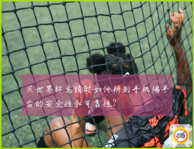 买世界杯竞猜时如何辨别手机端平台的安全性和可靠性？