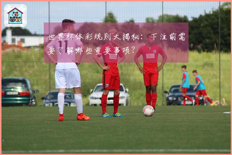 世界杯体彩规则大揭秘：下注前需要了解哪些重要事项？