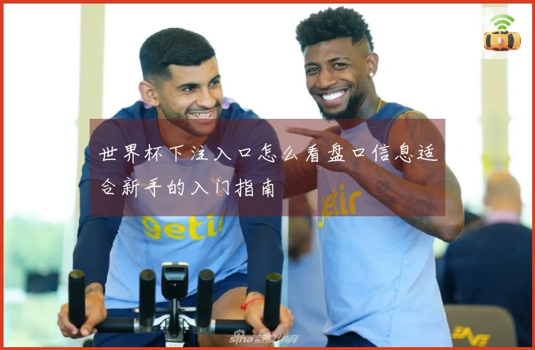 世界杯下注入口怎么看盘口信息适合新手的入门指南