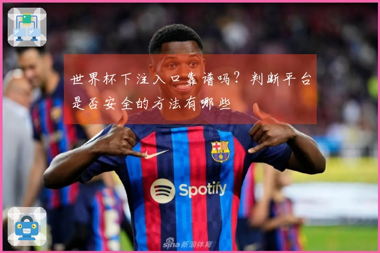 世界杯下注入口靠谱吗？判断平台是否安全的方法有哪些
