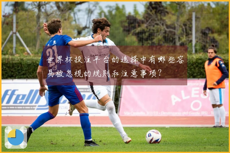 世界杯投注平台的选择中有哪些容易被忽视的规则和注意事项？
