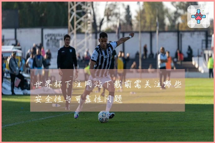世界杯下注网站下载前需关注哪些安全性与可靠性问题
