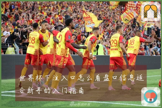 世界杯下注入口怎么看盘口信息适合新手的入门指南