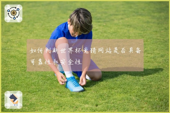 如何判断世界杯竞猜网站是否具备可靠性和安全性