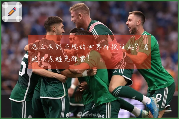 怎么买到正规的世界杯投注站？看这几点避免踩雷！