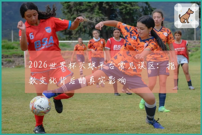 2026世界杯买球平台常见误区：指数变化背后的真实影响