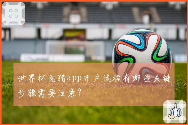 世界杯竞猜app开户流程有哪些关键步骤需要注意？