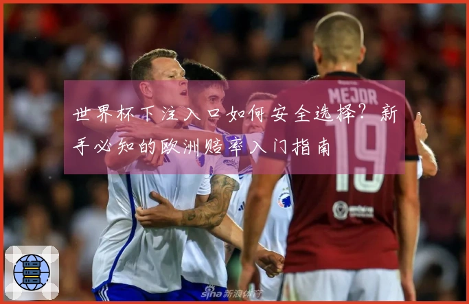世界杯下注入口如何安全选择？新手必知的欧洲赔率入门指南