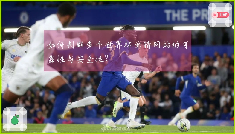 如何判断多个世界杯竞猜网站的可靠性与安全性？