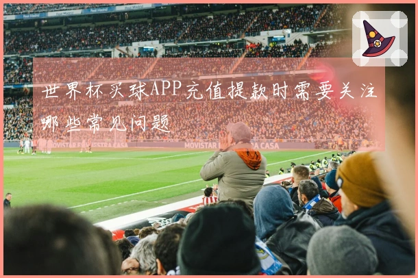 世界杯买球APP充值提款时需要关注哪些常见问题