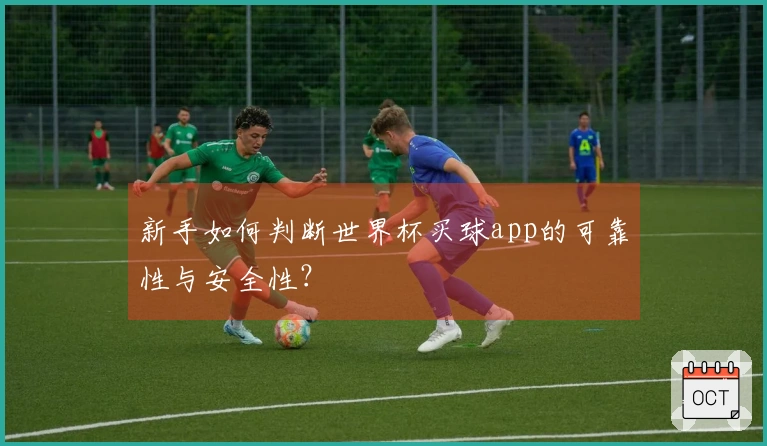 新手如何判断世界杯买球app的可靠性与安全性？