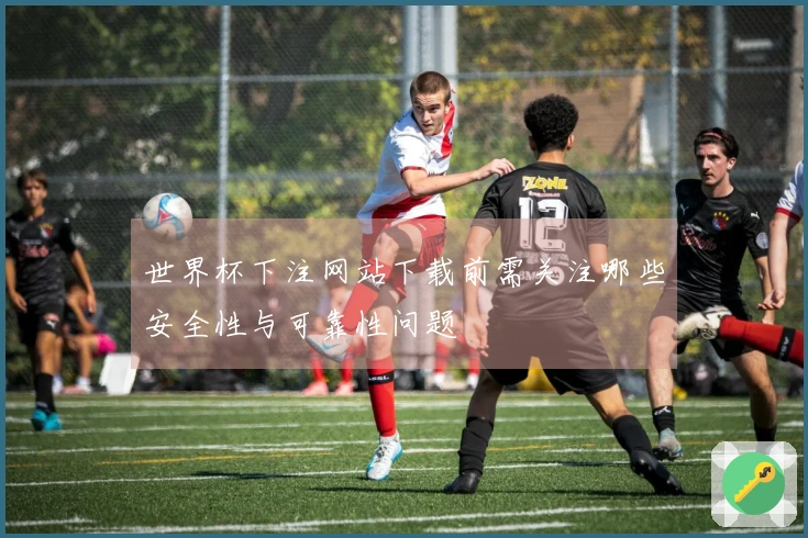 世界杯下注网站下载前需关注哪些安全性与可靠性问题