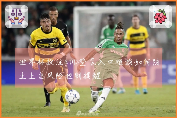 世界杯投注app登录入口难找如何防止上当风险控制提醒