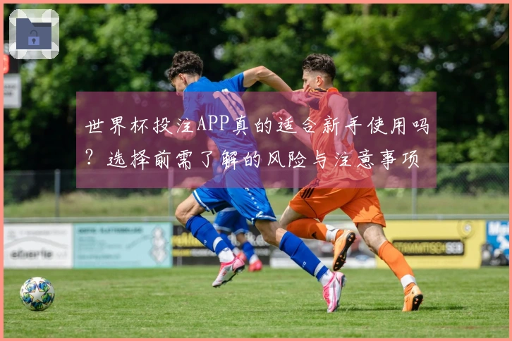 世界杯投注APP真的适合新手使用吗？选择前需了解的风险与注意事项