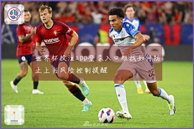 世界杯投注app登录入口难找如何防止上当风险控制提醒