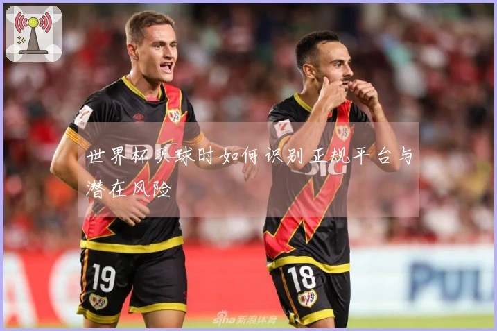 世界杯买球时如何识别正规平台与潜在风险