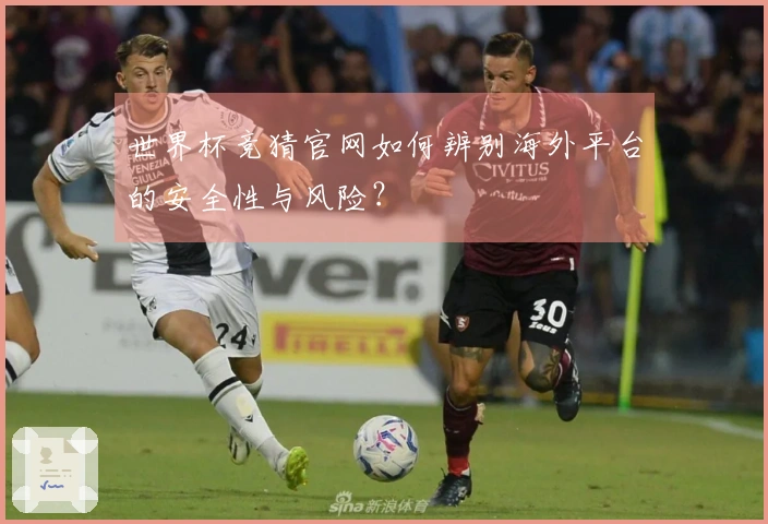 世界杯竞猜官网如何辨别海外平台的安全性与风险？