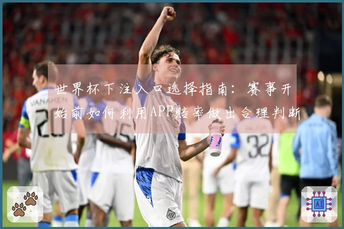 世界杯下注入口选择指南：赛事开始前如何利用APP赔率做出合理判断